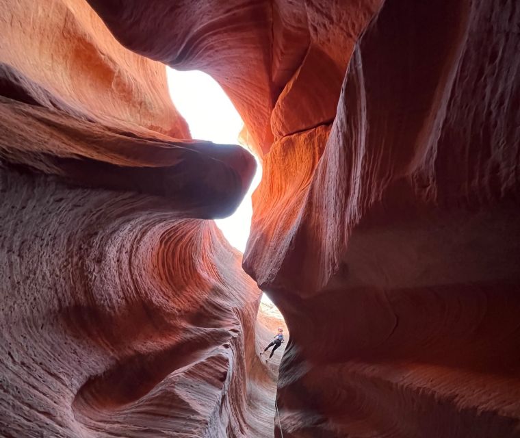 Orderville: Rappelling Slot Canyon and UTV Tour - Key points at a glance