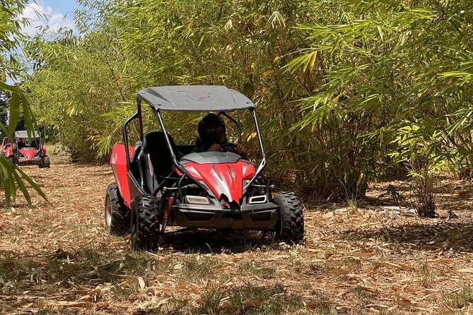 Orlando: Dune Buggy Tour - Leaving Orlando behind for Florida backcountry
