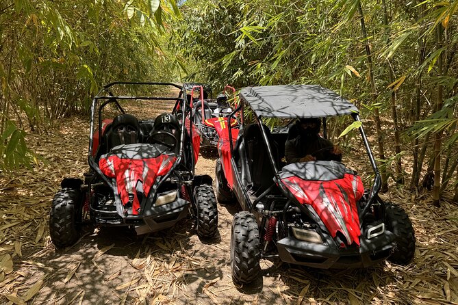 Orlando: Dune Buggy Tour - What the one-hour trail ride feels like