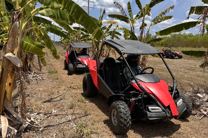 Orlando: Dune Buggy Tour - Getting dirty is the point