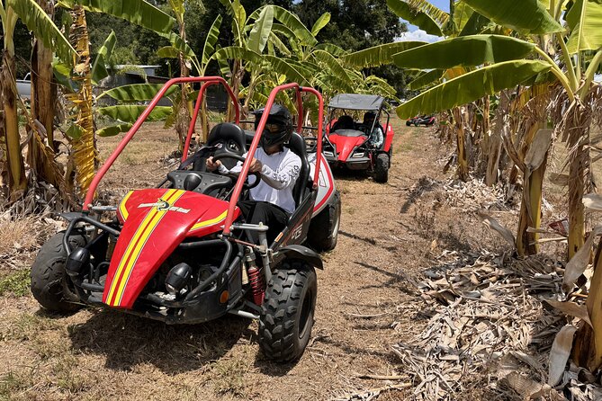 Orlando: Dune Buggy Tour - Who will enjoy this most
