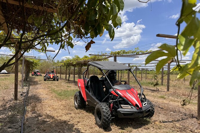Orlando: Dune Buggy Tour - The buggy setup and driver rotation