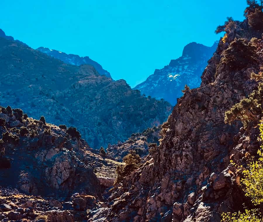 Ourika Valley: Quad Biking,Camel Riding,and Hiking Adventure - Quick take: what makes this day worthwhile