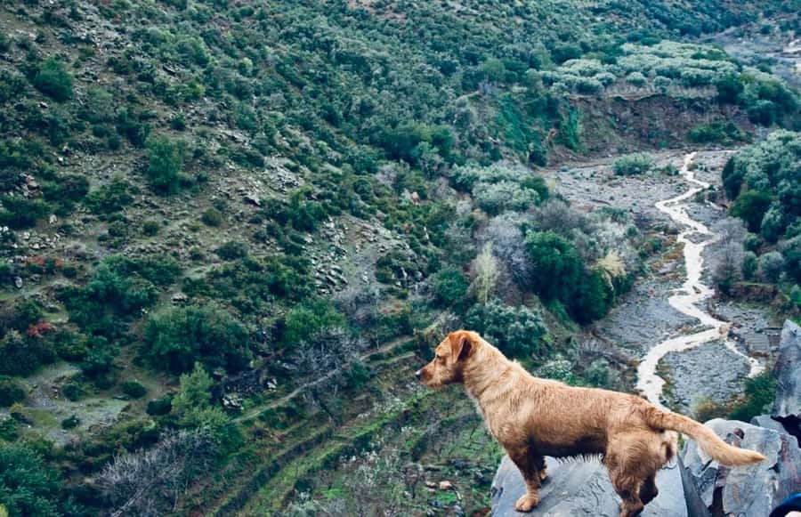 Ourika Valley: Quad Biking,Camel Riding,and Hiking Adventure - Timing, weather, and what to pack