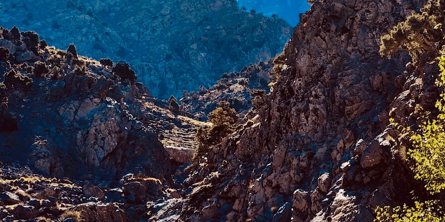 Ourika Valley: Quad Biking,Camel Riding,and Hiking Adventure - Riverside lunch, with an extra cost