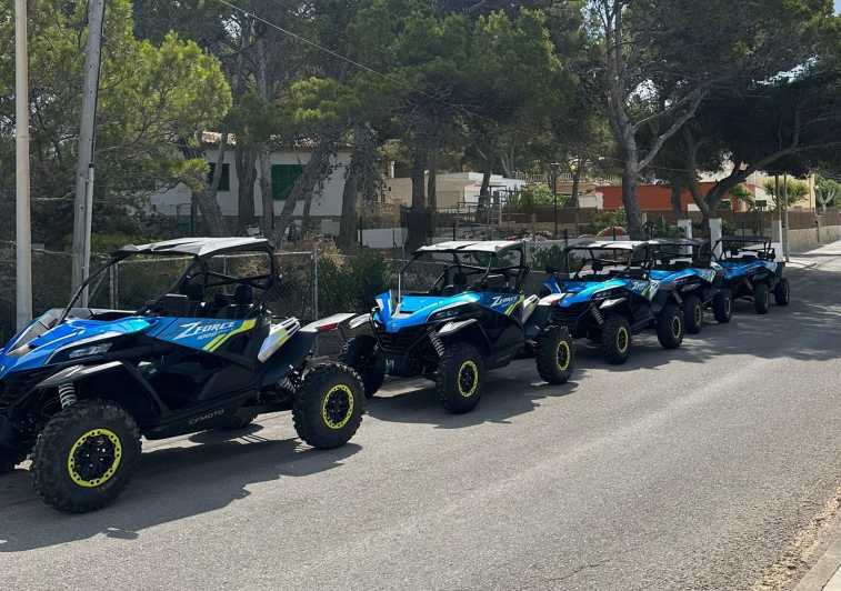 Paguera: 2 Hour Buggy Tour - What this Paguera buggy tour is really like