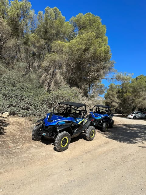 Paguera: 2 Hour Buggy Tour - Starting at Carrer de La Savina 8