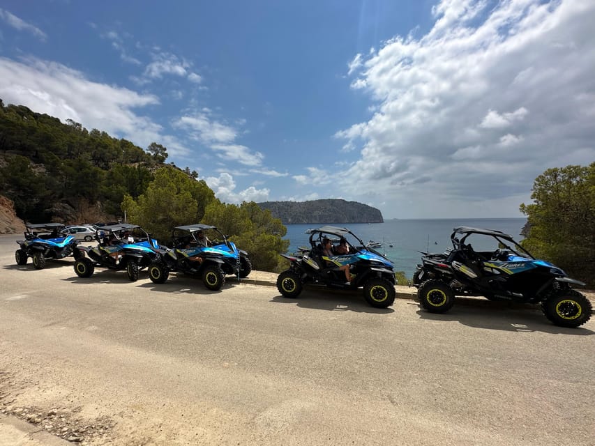 Paguera: 2 Hour Buggy Tour - The buggies, driving, and road conditions