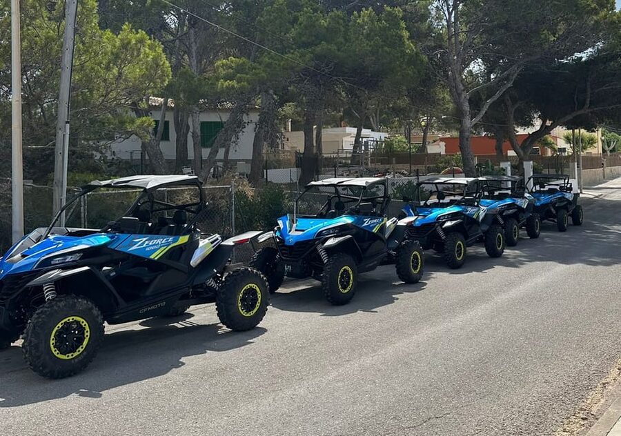 Paguera: 2 Hour Buggy Tour - The run toward Malgrats Island