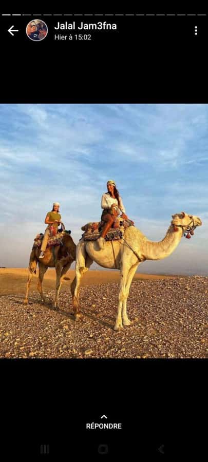 Palmeraie Marrakech Camel Ride & Quad Bike Package Exprience - What the $29 Palmeraie trip really includes