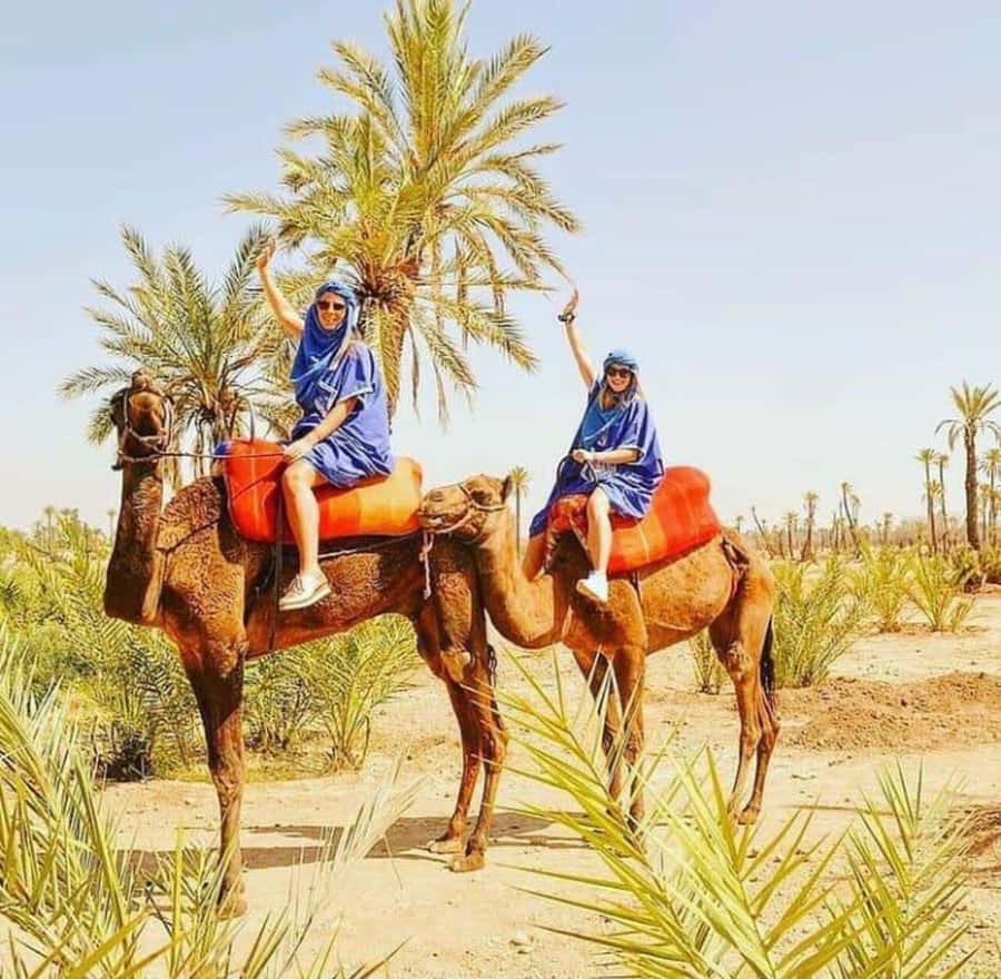 Palmeraie Marrakech Camel Ride & Quad Bike Package Exprience - Leaving Marrakesh for the palm groves