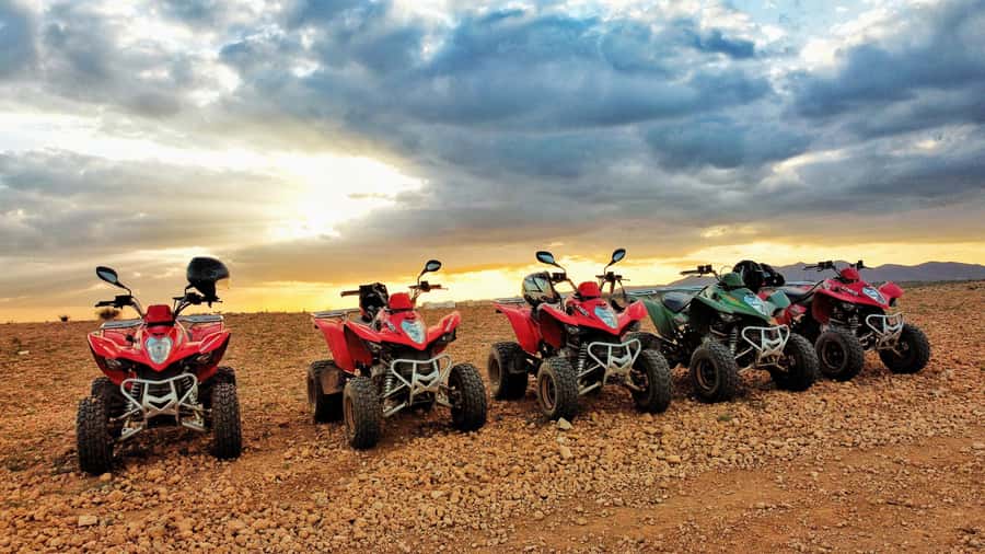 Palmeraie Marrakech Camel Ride & Quad Bike Package Exprience - Mint tea and local hospitality