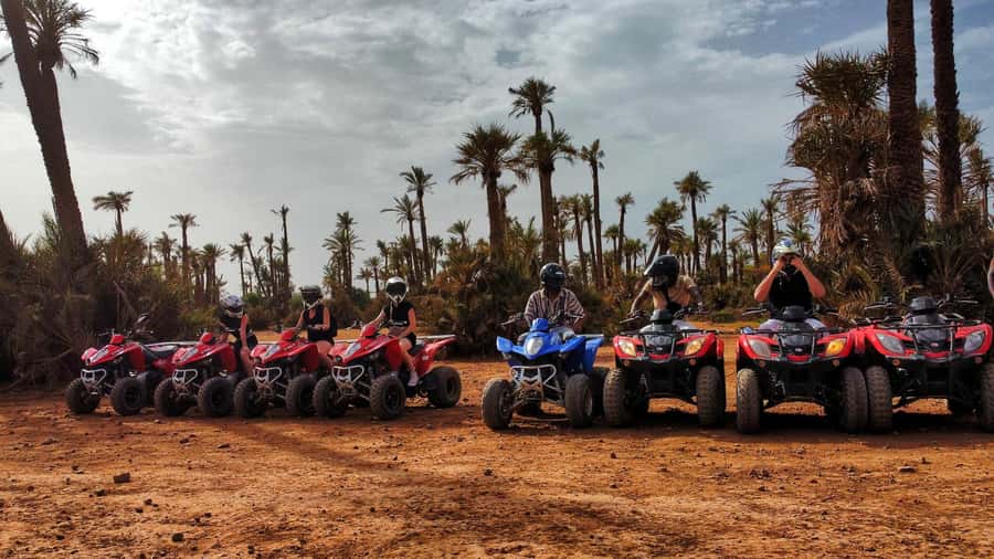 Palmeraie Marrakech Camel Ride & Quad Bike Package Exprience - A slower 20-minute camel ride