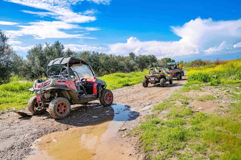 Paphos: 4x4 ATV & Buggy Safari Tour to Aphrodite's Rock - Key points to know before you book