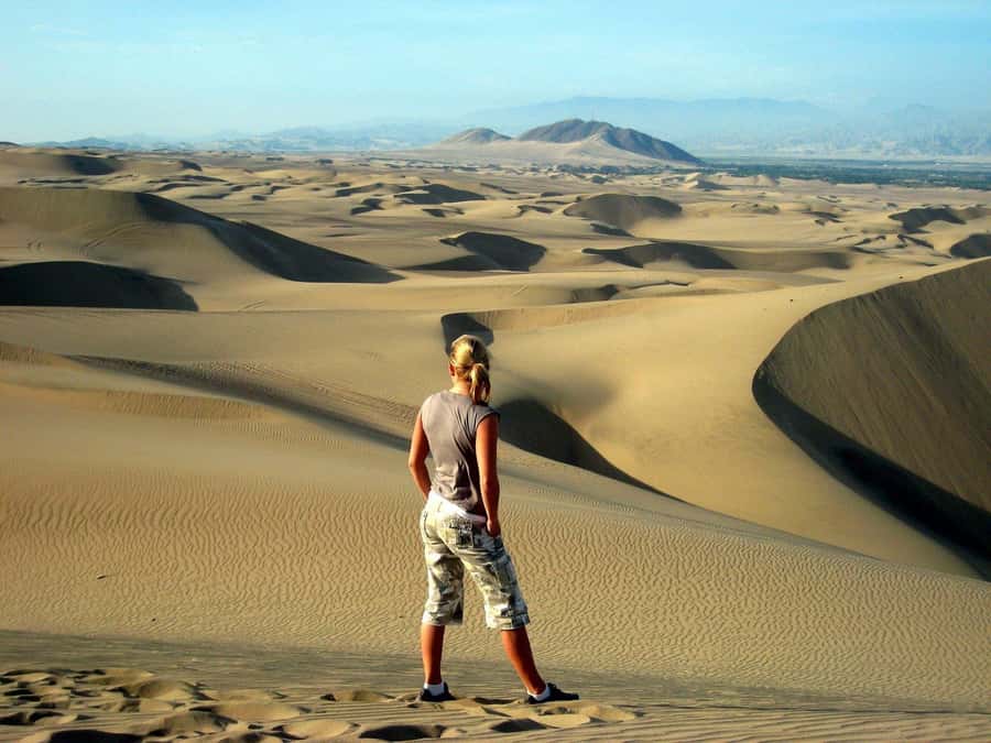 Paracas or Pisco: Private Huacachina Oasis Tour & Buggy Ride - From Paracas to the vineyards near Ica
