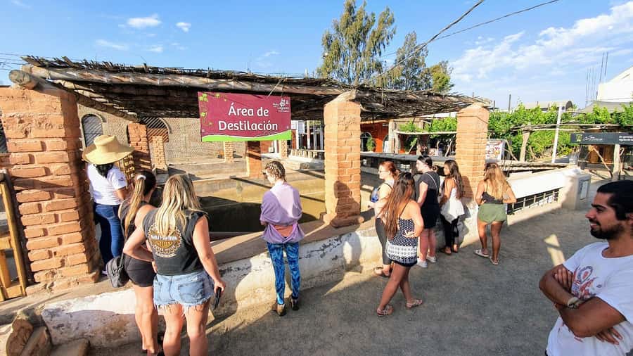 Paracas or Pisco: Private Huacachina Oasis Tour & Buggy Ride - One hour across the Ica Desert by buggy