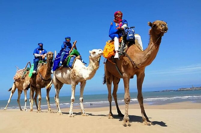 Paradise Valley & Desert Dunes with Camel Ride and quad bike - Why this Agadir day is worth considering