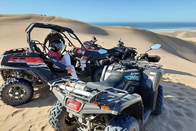 Paradise Valley & Desert Dunes with Camel Ride and quad bike - Who should book this experience