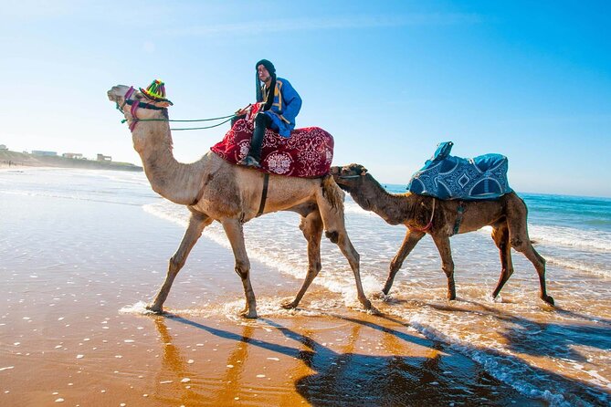 Paradise Valley & Desert Dunes with Camel Ride and quad bike - Paradise Valley brings the strongest scenery