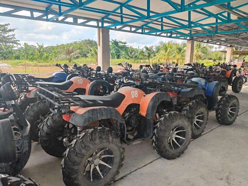 Penang: ATV Ride in Balik Pulau with Snacks and Transfers - Why Balik Pulau works well for an ATV morning