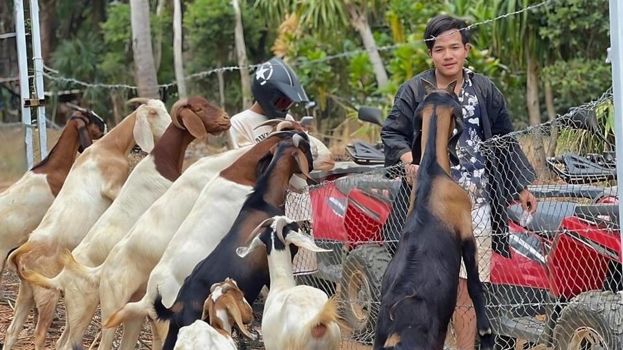 Phuket: ATV Ride with Secret Sea Viewpoints and Swing - Who should book this experience?