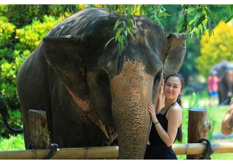 Phuket: Bamboo Rafting & ATV Ride (Optional) - Guides, group rhythm, and organization