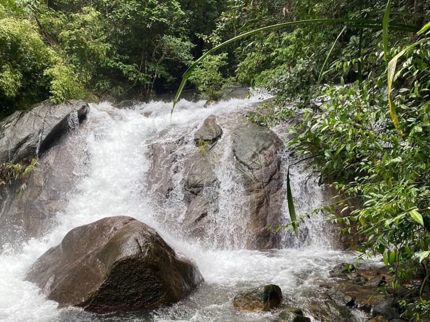 Phuket: Bamboo Rafting, Monkey Cave, and ATV Option - Thai lunch that keeps the day moving