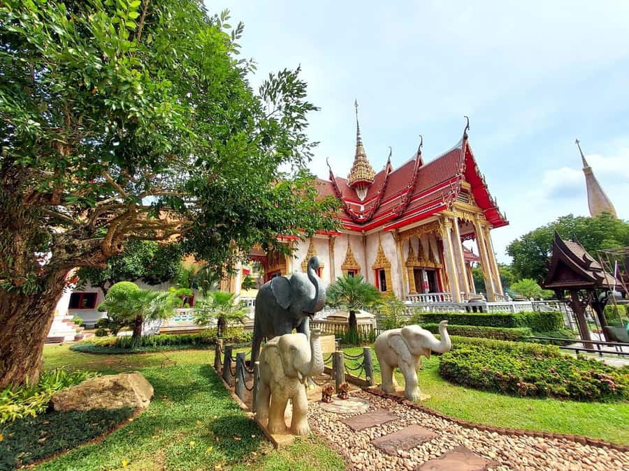 Phuket City Tour with ATV Adventure and Elephant Feeding - Big Buddha and Wat Chalong bring the temple context