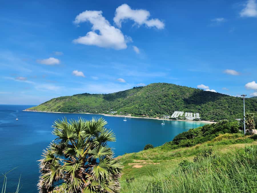 Phuket City Tour with ATV Adventure and Elephant Feeding - Transport, group size, and guide quality