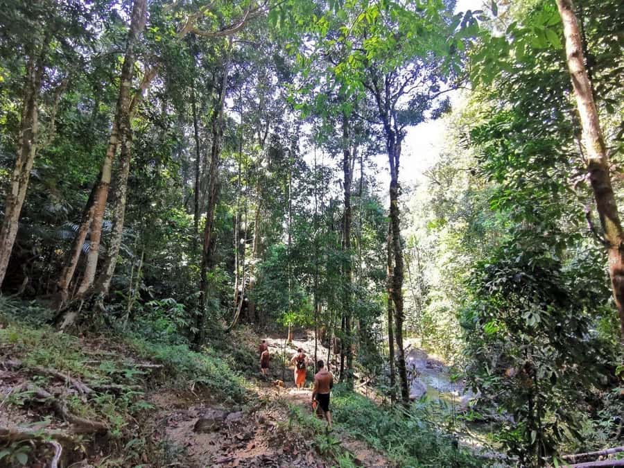 Phuket: Monkey Cave, Water Rafting, Zipline with ATV Option - Lunch at camp gives the schedule a useful pause