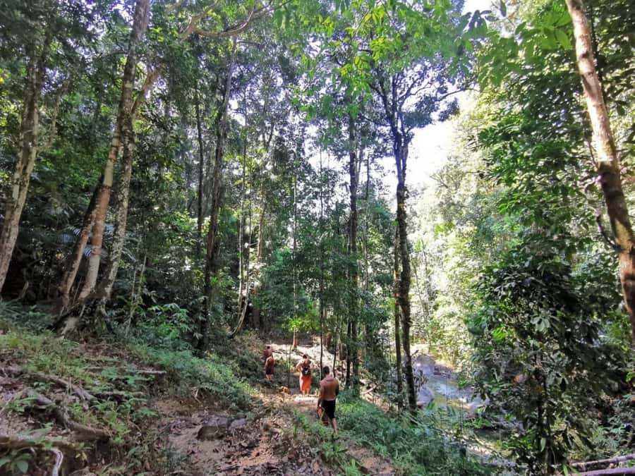 Phuket: Monkey Cave, Water Rafting, Zipline with ATV Option - Guides, group rhythm, and what to pack
