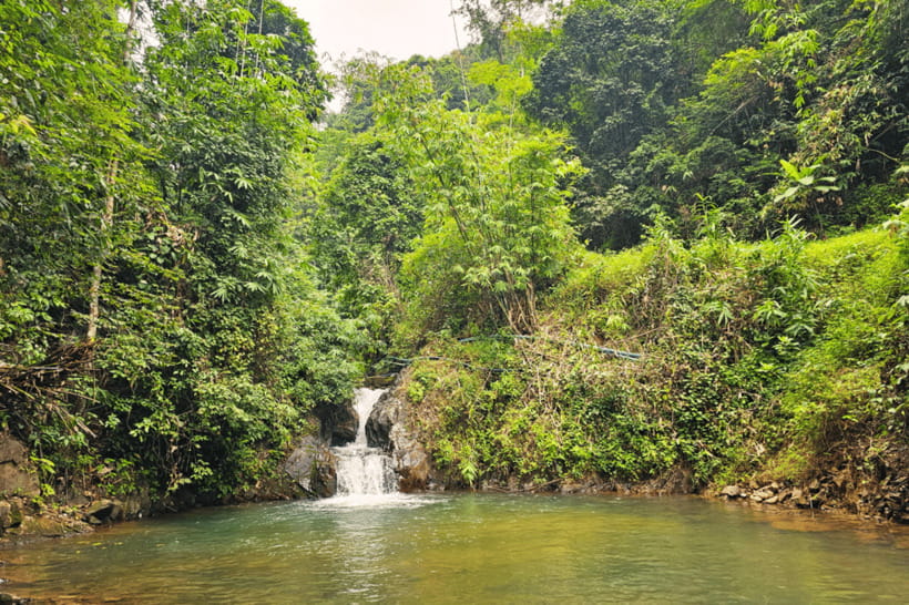 Phuket: White Water Rafting, ATV, and Zipline Adventure - Lunch at Song Phraek