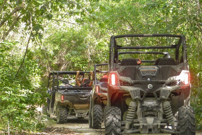 Playa del Carmen Buggy Tour with Cenote Swim and Mayan Village Visit - What the buggy section feels like