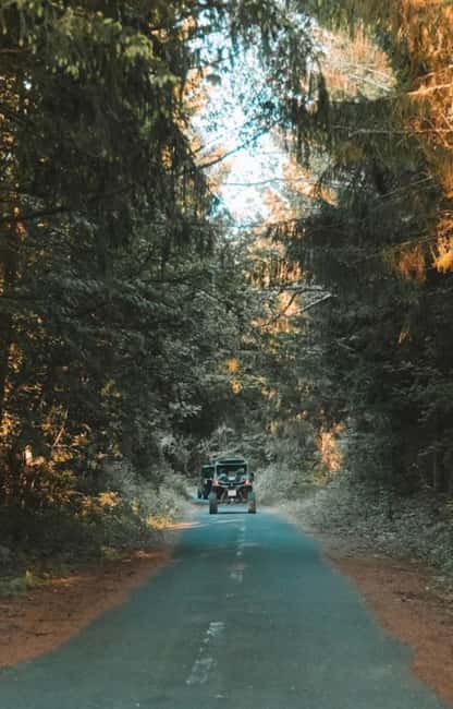 Plitvice Lakes National Park - Inspiration Buggy Tour - Ending with a Plitvice waterfall viewpoint