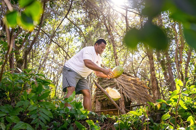 Polynesian Cultural ATV Tour in Kona - Choosing an ATV or UTV