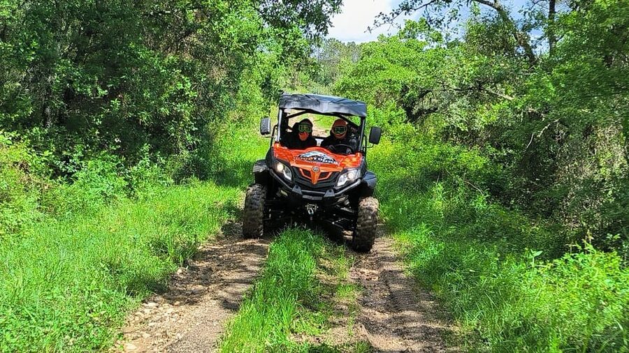 Pombal- Sicó: 60 minutes OFF-ROAD Buggy Ride - Why the small group matters