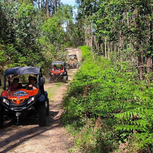 Pombal- Sicó: 60 minutes OFF-ROAD Buggy Ride - Vila-Cã viewpoint and the open mountain views