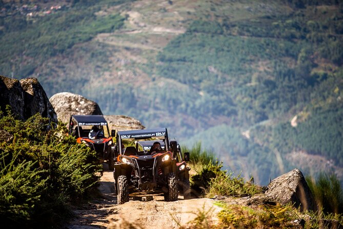 Ponte de Lima Guided Buggy Tour - Key points to know before you book