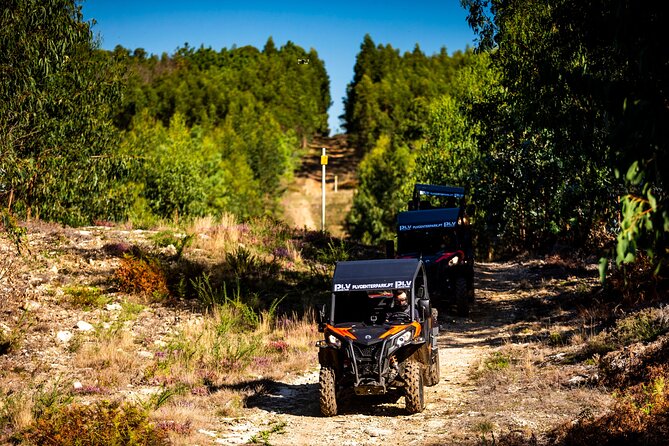 Ponte de Lima Guided Buggy Tour - Is $181.02 good value for two people?