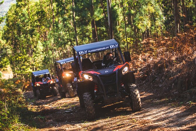 Ponte de Lima Guided Buggy Tour - Weather and cancellation planning