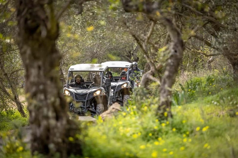 Porto: Dirt and Dust Tour by Oporto Buggy - Taking the Wheel in a Two-Seat Buggy