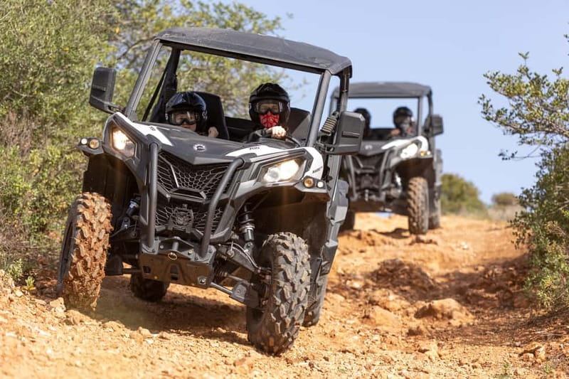 Porto: Dirt and Dust Tour by Oporto Buggy - Rough Trails in the Parque Natural das Serras do Porto