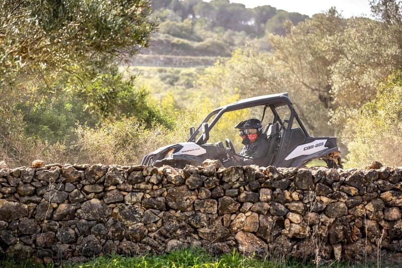 Porto: Dirt and Dust Tour by Oporto Buggy - Guide Support and Group Size