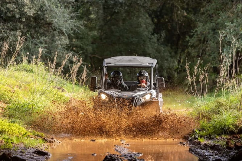 Porto: Dirt and Dust Tour by Oporto Buggy - Following the Rally de Portugal Shakedown