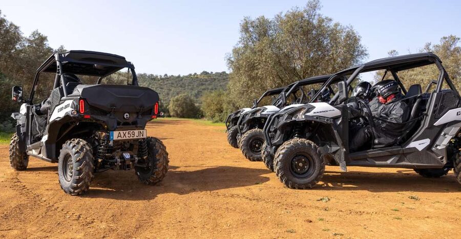 Porto Santo: 180 Minutes Off-Road Buggy Tour - Key points to know before you book