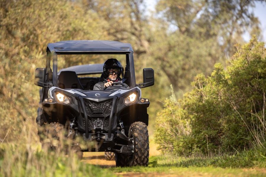 Porto Santo: 180 Minutes Off-Road Buggy Tour - What the $188 price means for two people