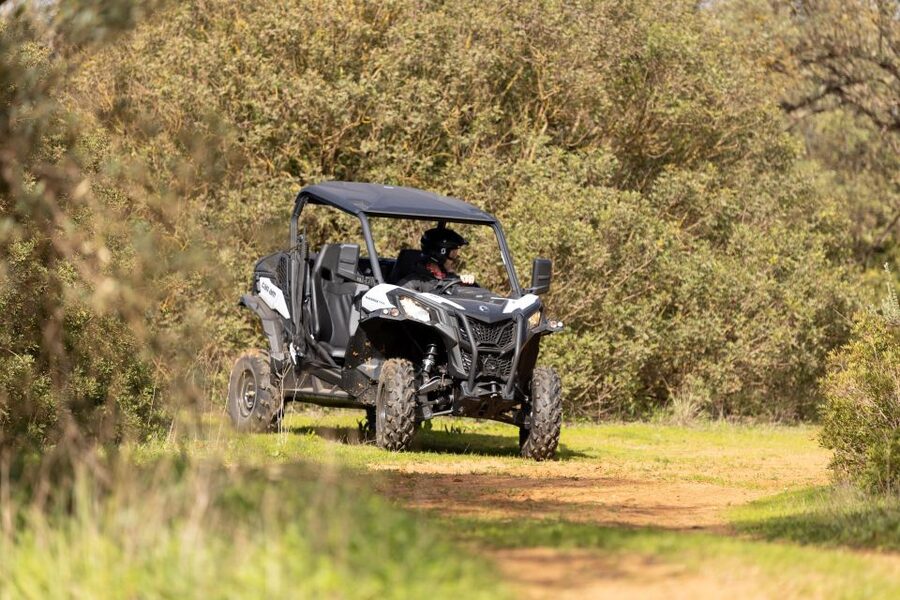 Porto Santo: 180 Minutes Off-Road Buggy Tour - Why a buggy is a smart way to see Porto Santo