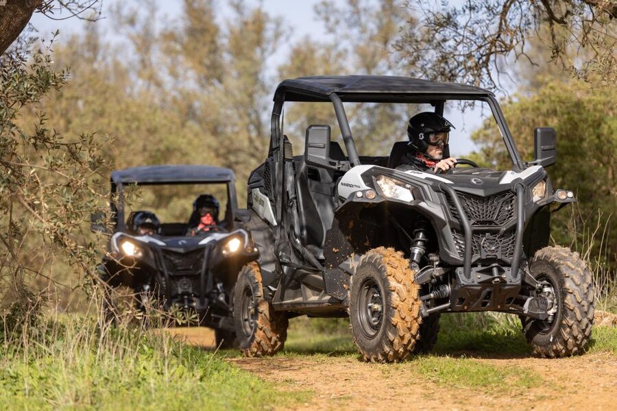 Porto Santo: 180 Minutes Off-Road Buggy Tour - Pico do Castelo and Porto Santo’s mountain side