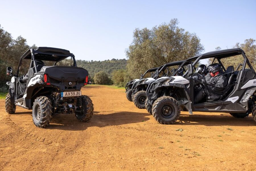 Porto Santo: 180 Minutes Off-Road Buggy Tour - Pico Ana Ferreira and the island’s rock formations