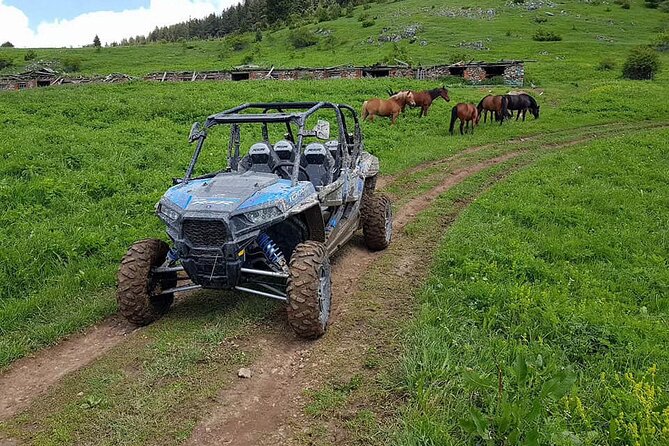 Private 1-Hour Quad or Buggy Safari in Borovets - Meeting at Hotel Rila2010